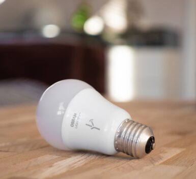 bulb