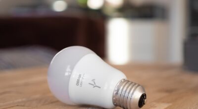 bulb